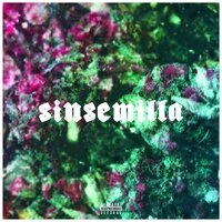 104 feat. Скриптонит, Вандер Фил, Rigos - Sinsemilla