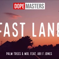 Palm Trees feat. Mdl & Abi F Jones - Fast Lane
