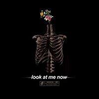 Brennan Savage - Look At Me Now (Remix 2019)